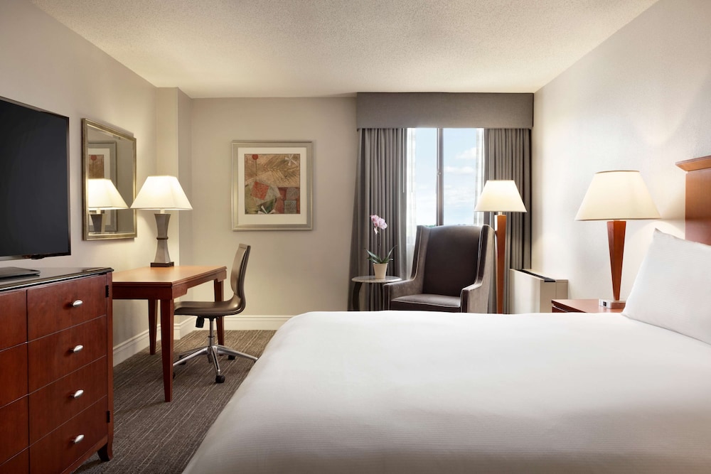 King, Executive Room photo 3