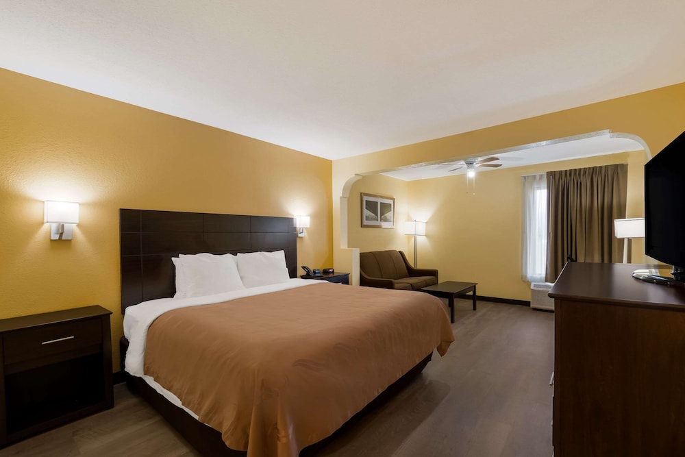 Suite, 1 King Bed photo 3