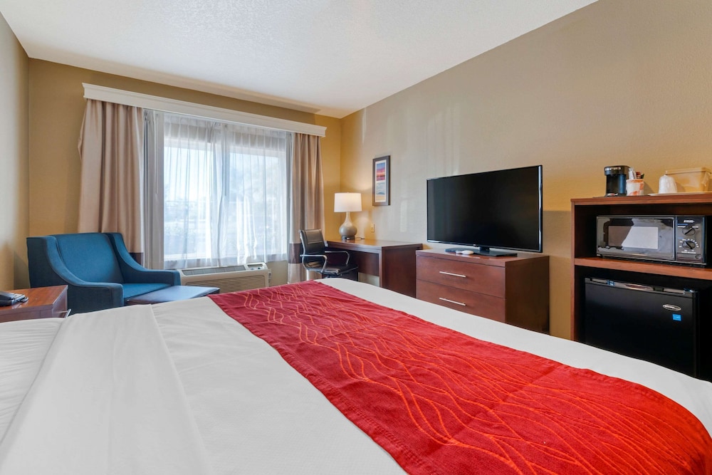 Room, 1 King Bed, Accessible, Non Smoking (Mobility, Roll-In Shower) - Photo 2