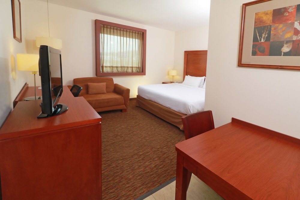 Studio Suite, 1 King Bed, Smoking, Kitchen