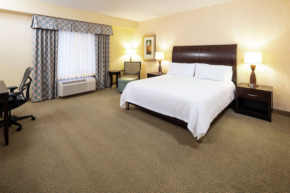 Room, 1 King Bed, Accessible photo 3