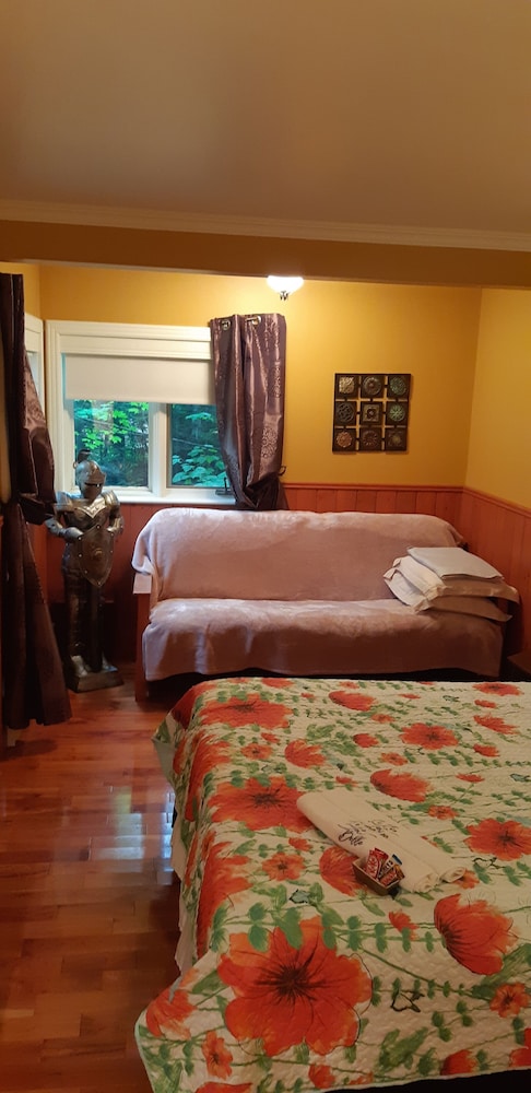 Family Room, 1 Queen Bed with Sofa bed photo 2