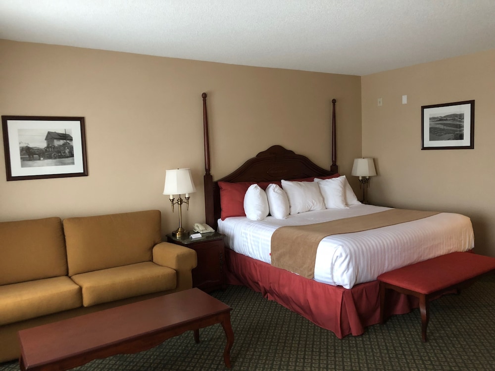 Room, 1 King Bed, Non Smoking, City View - Photo 4