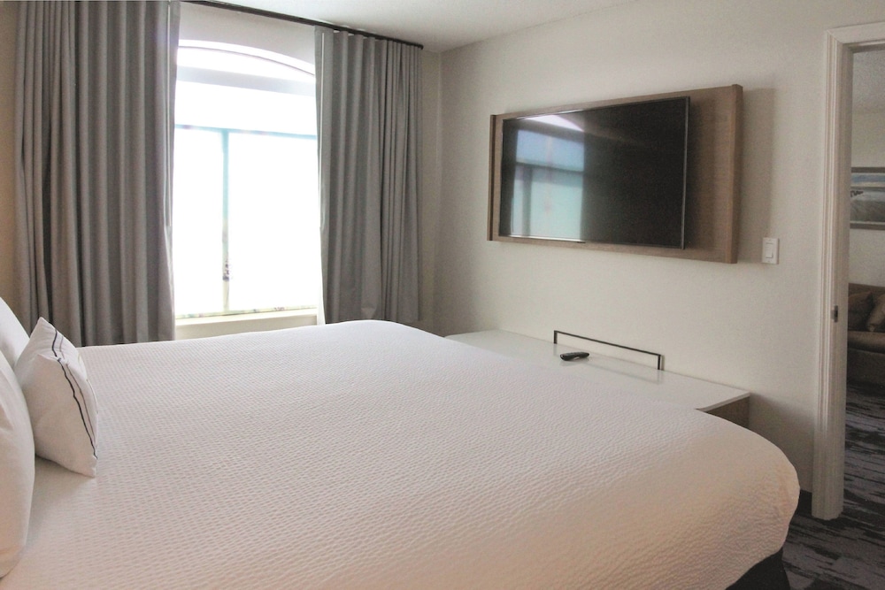 Suite, 1 Bedroom (Mobility Accessible, Roll-In Shower) - Photo 3