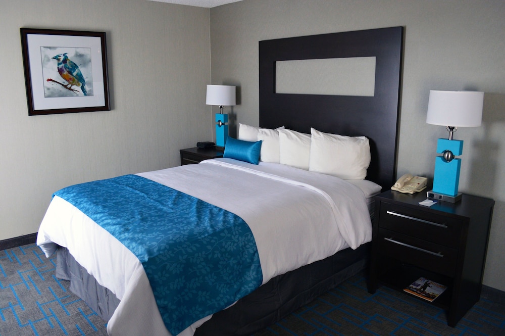 Premium Room photo 2
