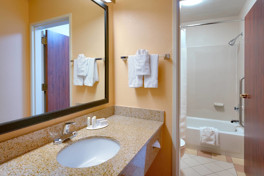 Suite, 1 Bedroom - Photo 4