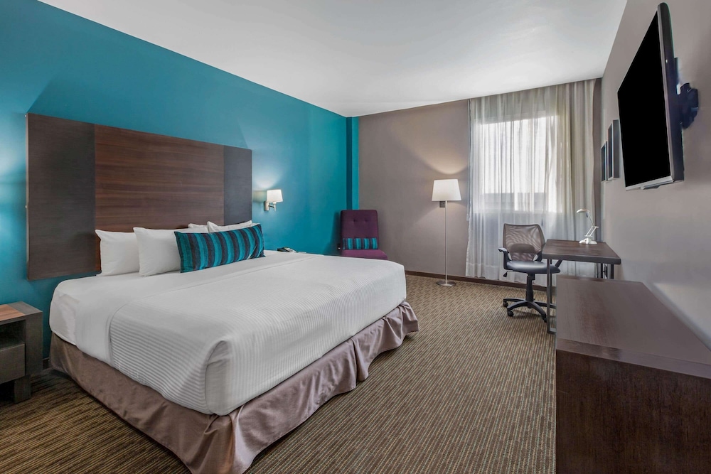 Room, 1 King Bed, Accessible (Mobility Accessible) photo 3