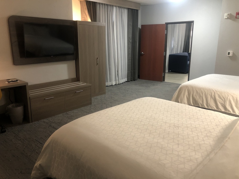 Suite, 1 Bedroom (Additional Living Area) - Photo 2