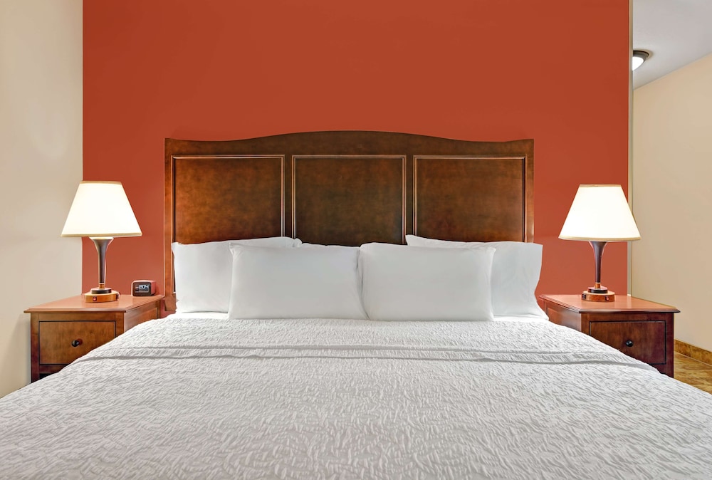 Room, 1 King Bed