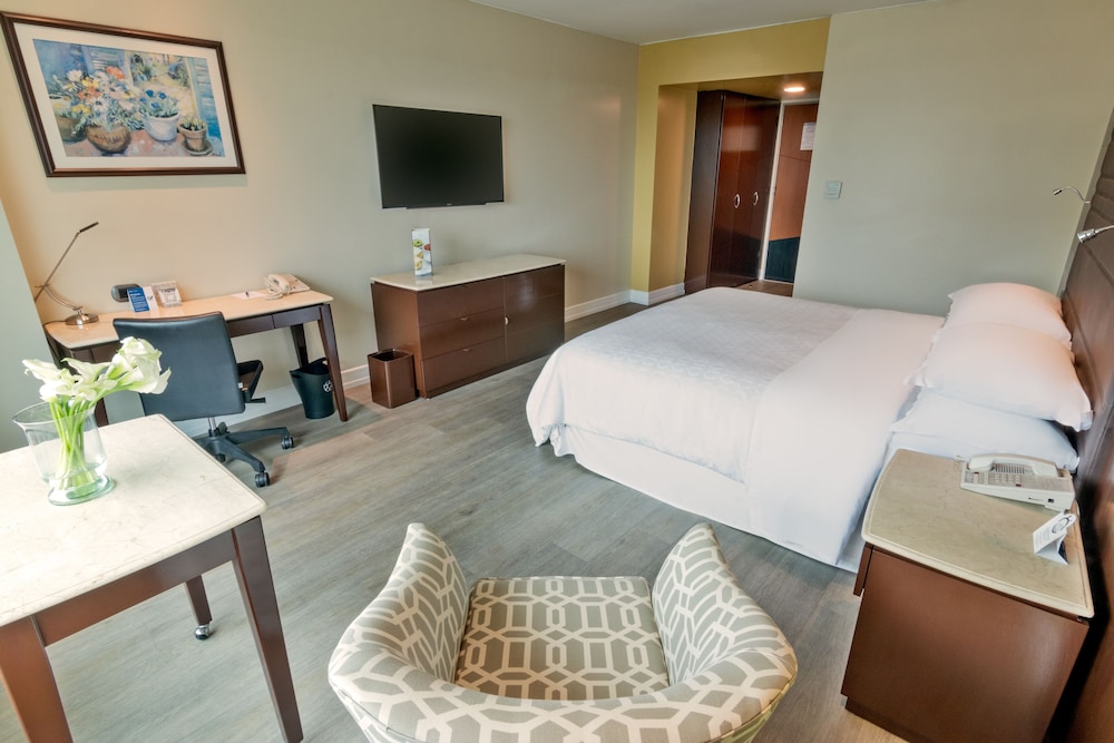Classic Room, 1 King Bed, Smoking photo 3