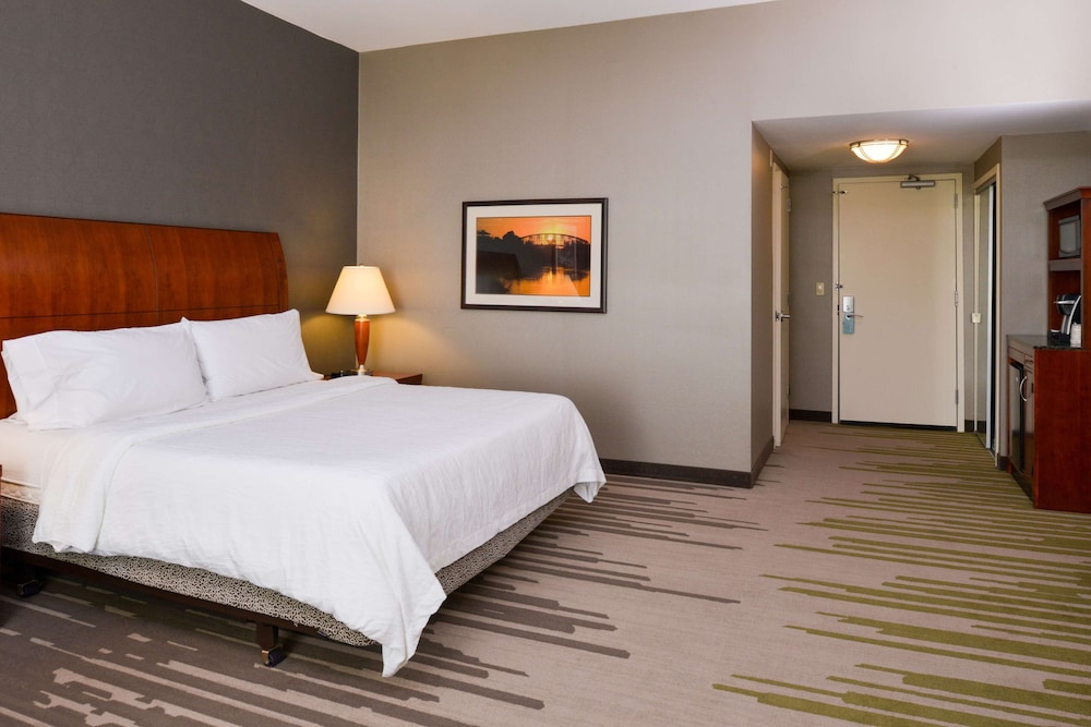 Room, 1 King Bed, Accessible (3x3 Shower) - Photo 1