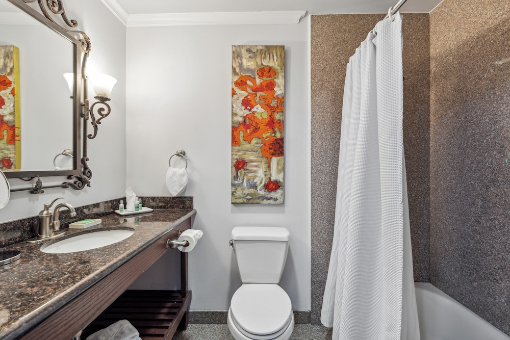 Deluxe King Room - Photo 5
