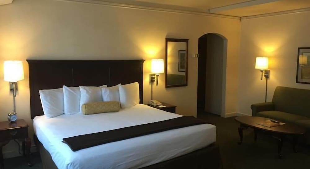 Standard Suite, 1 King Bed (King Junior Suite) (No AirConditioning) - Photo 1
