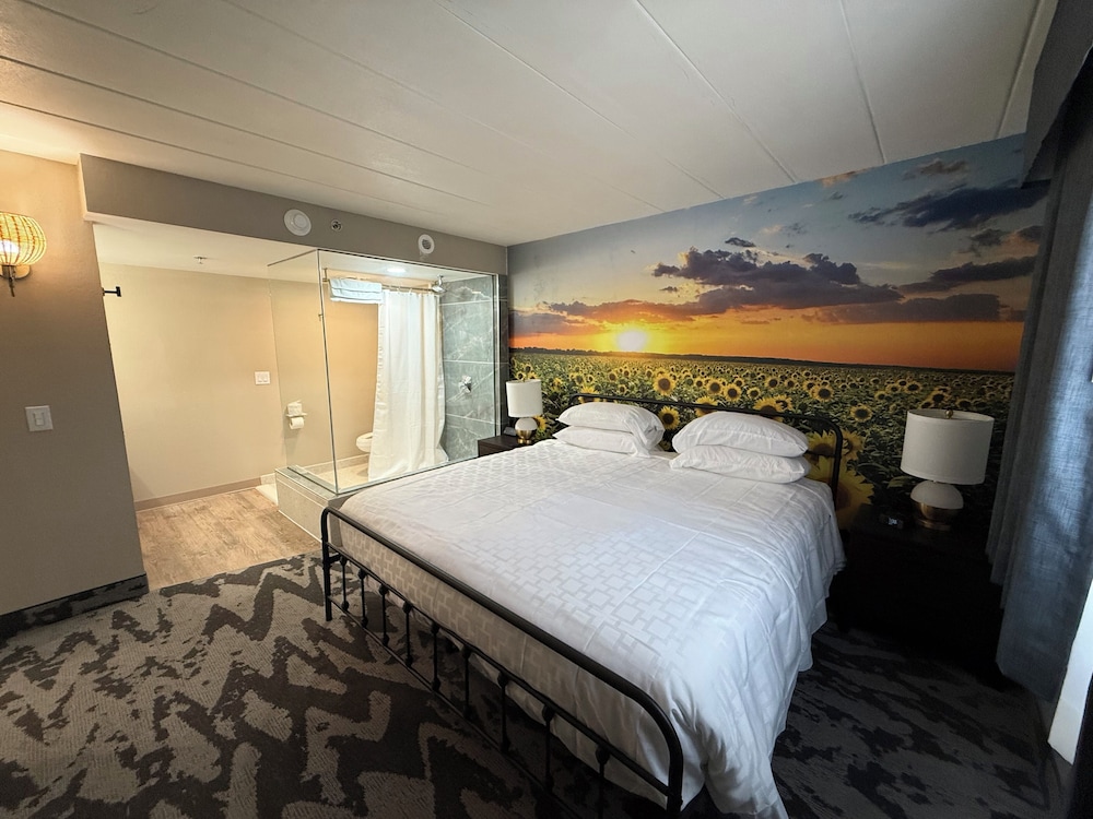 Comfort Room photo 1