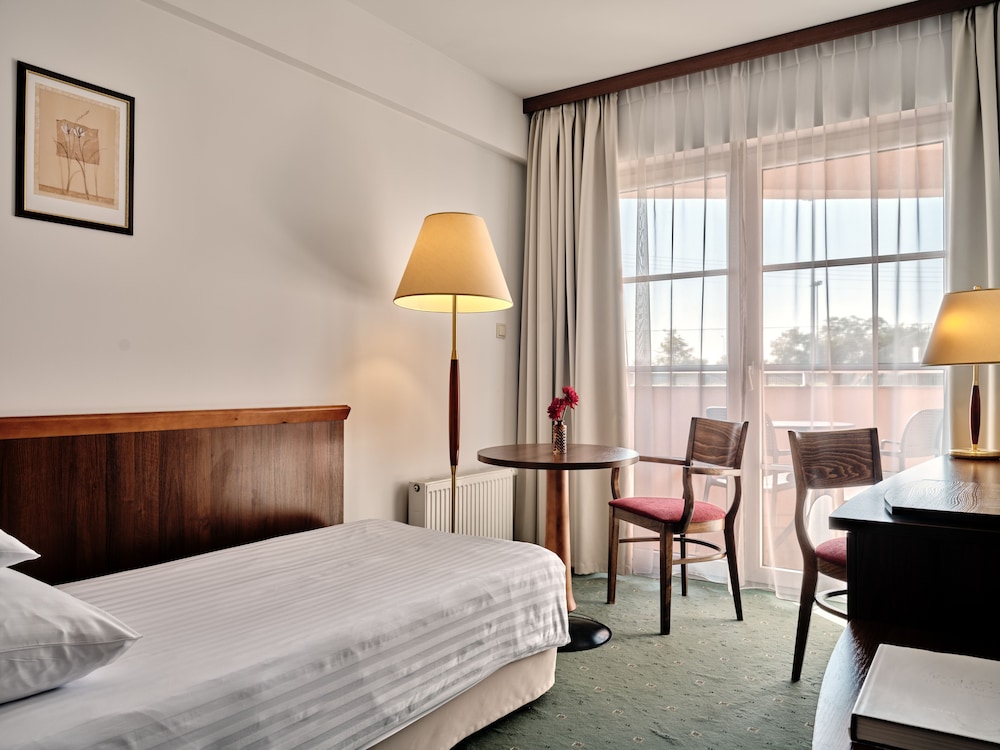 Superior Single Room photo 3