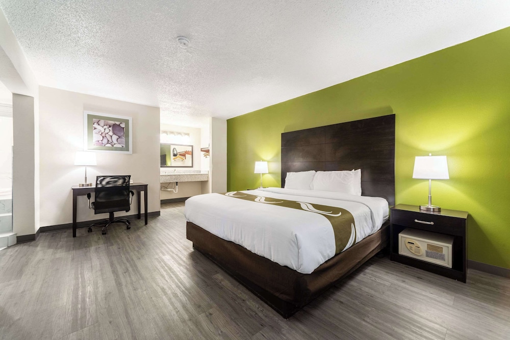 Suite, 1 King Bed with Sofa bed, Non Smoking (Efficiency, Upgrade) - Photo 4
