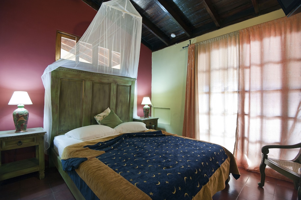 Superior Room, 1 Queen Bed photo 1