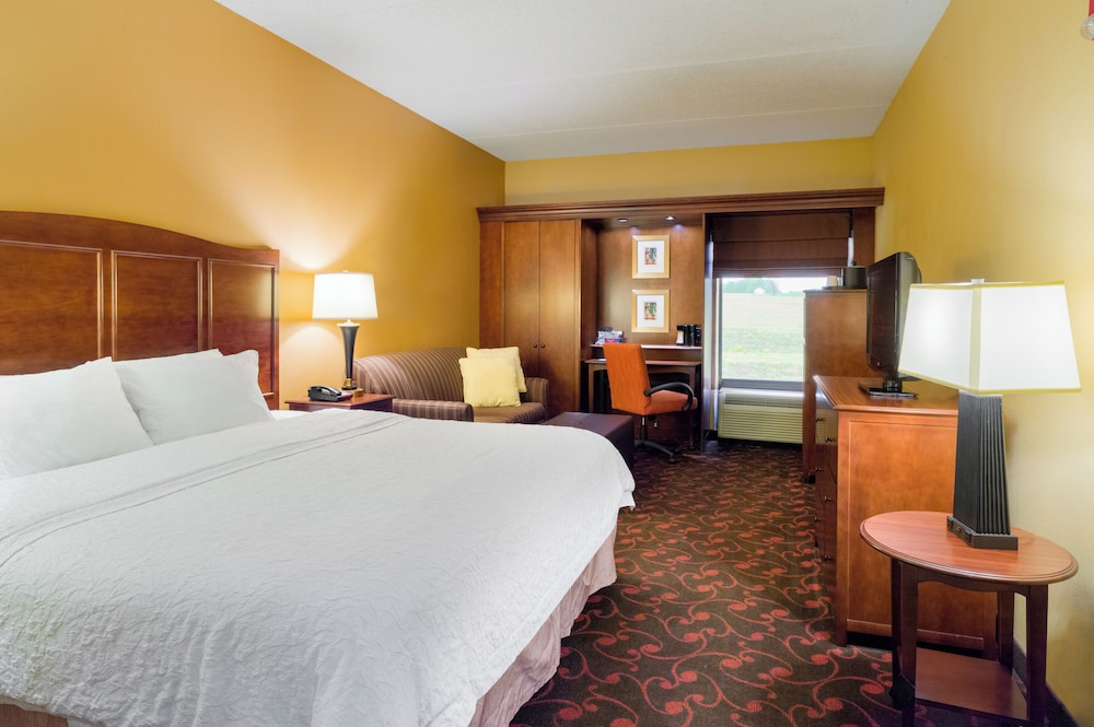 Standard Room, 1 King Bed with Sofa bed photo 1