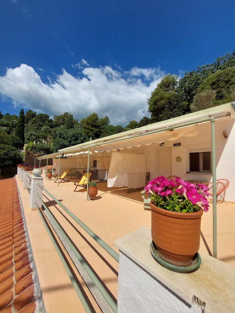 Standard Double or Twin Room, Beach View photo 3