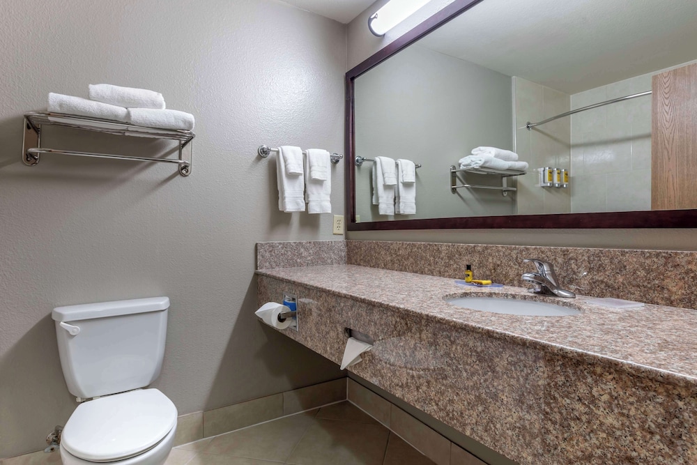 Standard Room, 1 King Bed, Non Smoking, Refrigerator & Microwave - Photo 4
