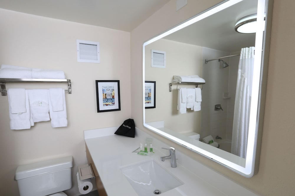 Suite, 1 King Bed - Photo 6