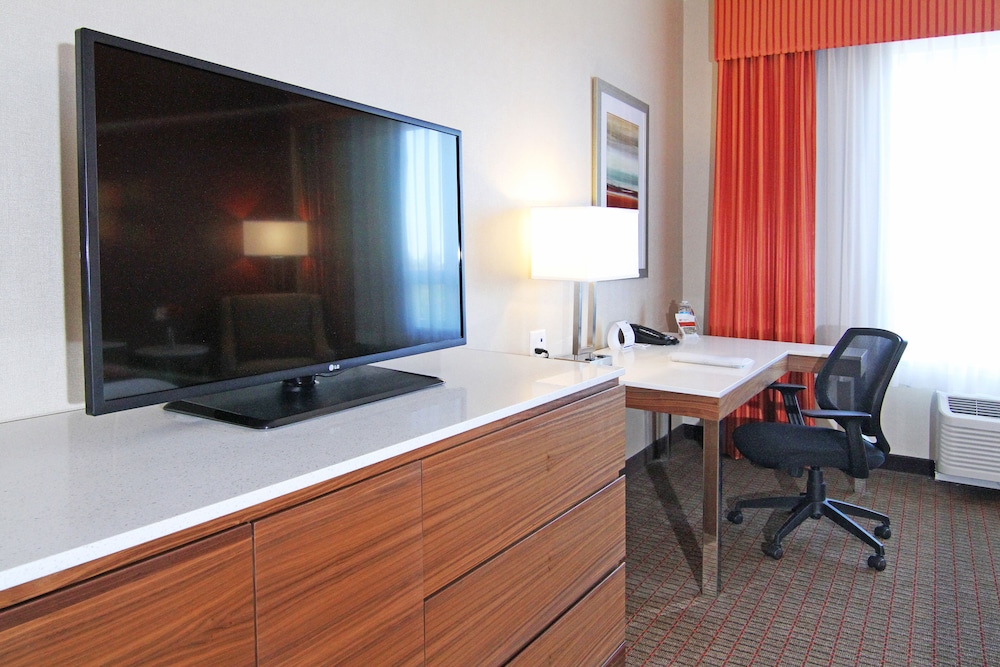 Suite, 1 King Bed with Sofa bed thumbnail 6