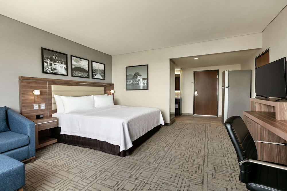 Suite, 1 King Bed, Refrigerator