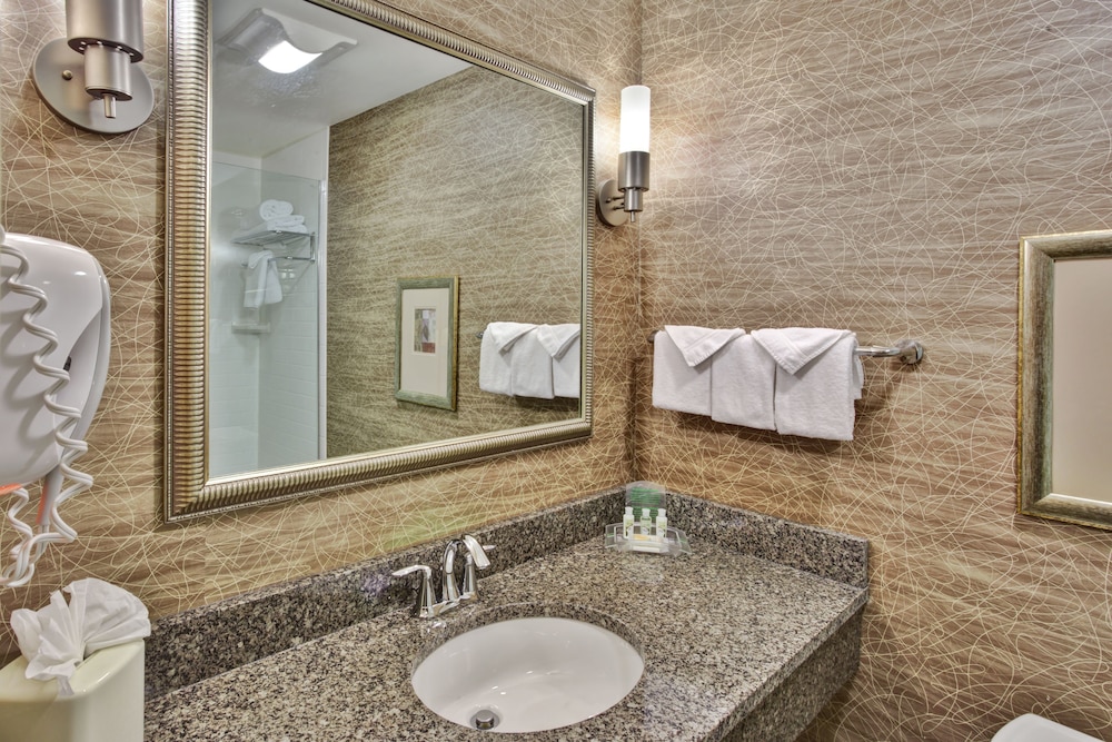 Standard Room, 1 King Bed, Accessible (Communication Accessible) - Photo 10
