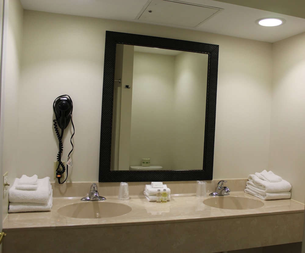 Superior Suite, 2 Double Beds, Kitchen, Ground Floor photo 3
