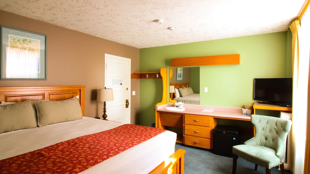 Traditional Room, 1 King Bed photo 1