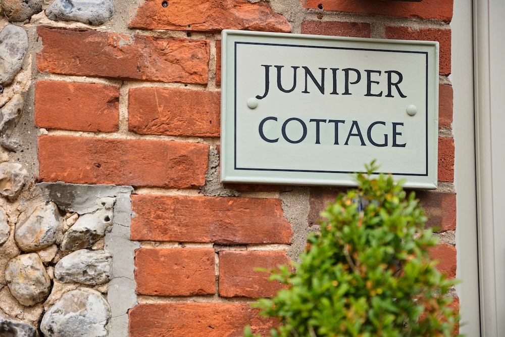 Juniper photo 3