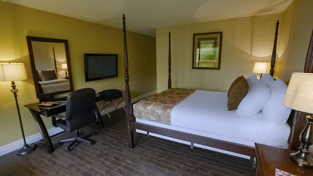 Room, 1 Queen Bed, Refrigerator & Microwave photo 2