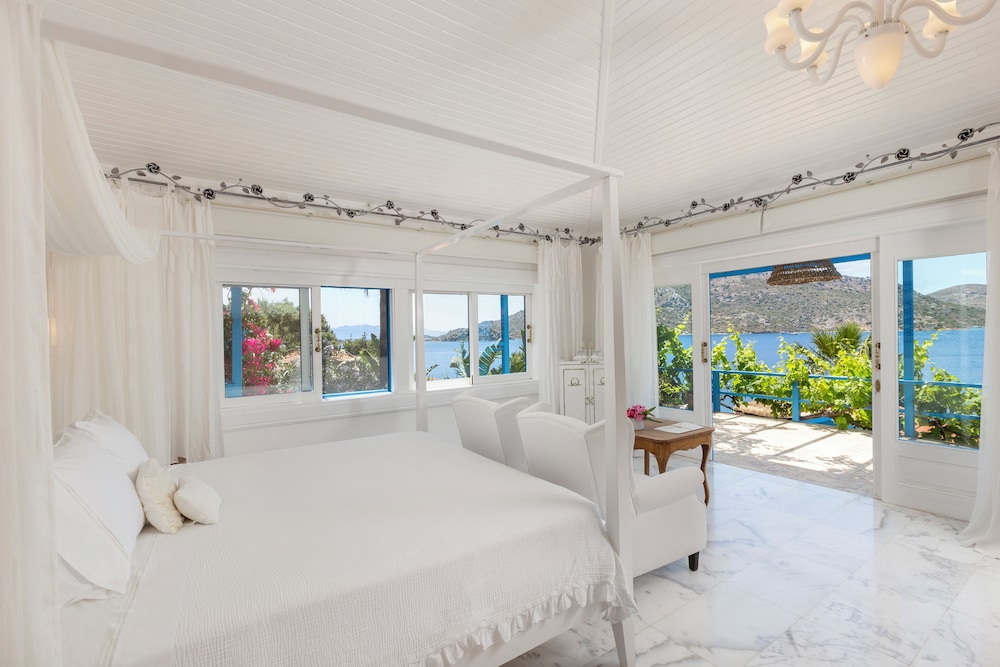 Splendid Suite (Fenix)