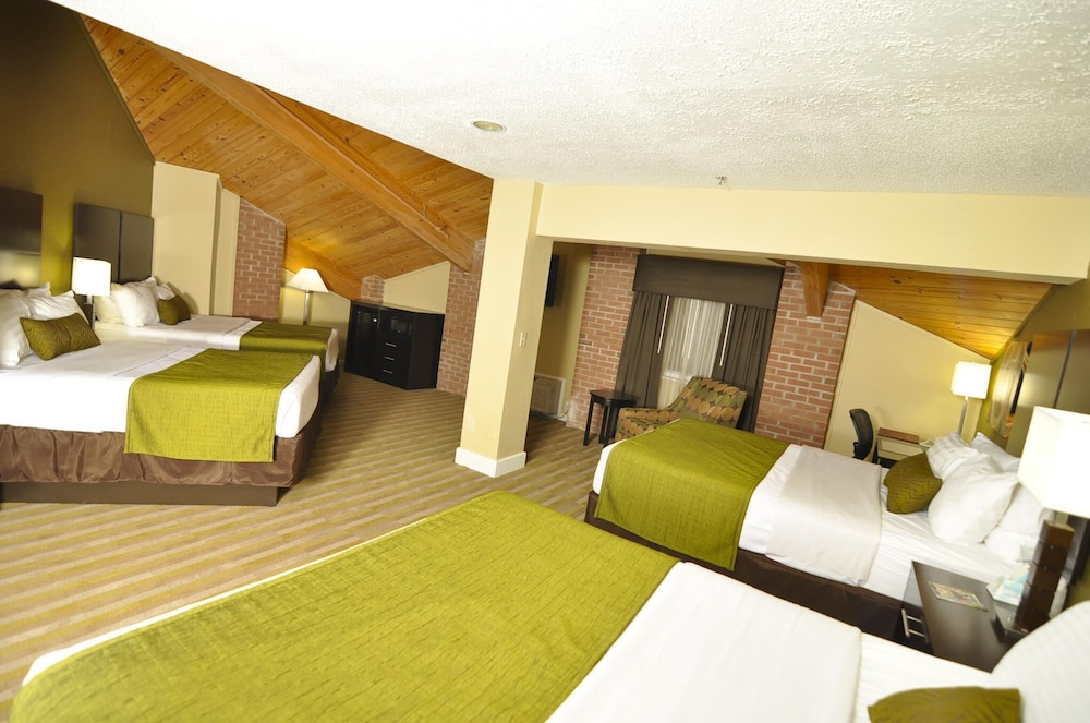 Standard Room, Multiple Beds, Non Smoking, Refrigerator & Microwave photo 2