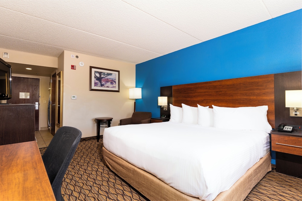 Standard Single Room, 1 King Bed - Photo 2