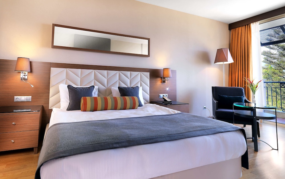 Deluxe Room photo 2