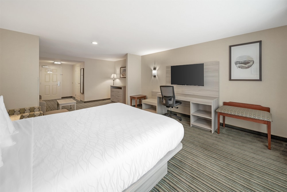 Suite, 1 King Bed, Non Smoking, Refrigerator & Microwave (with Single Sofabed) - Photo 3