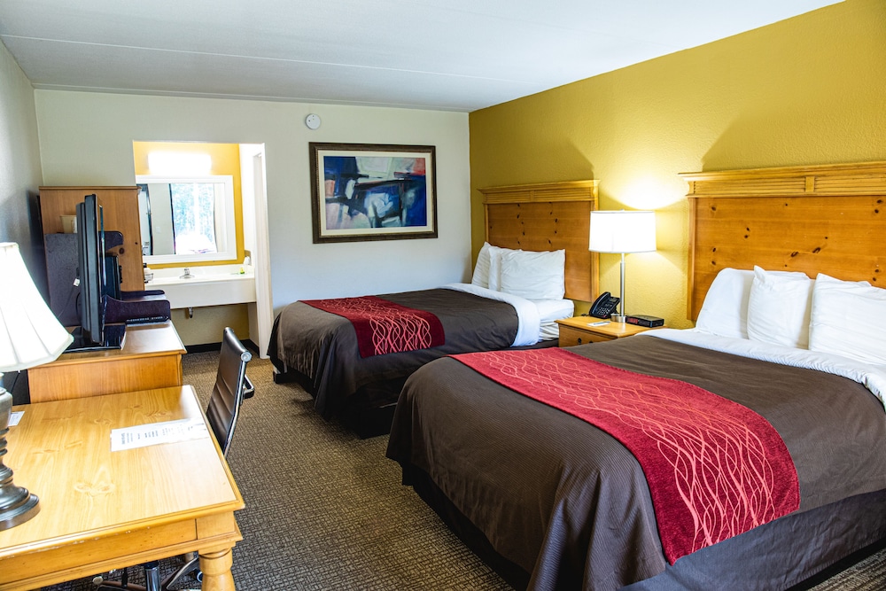 Classic Double Room, 2 Double Beds photo 1