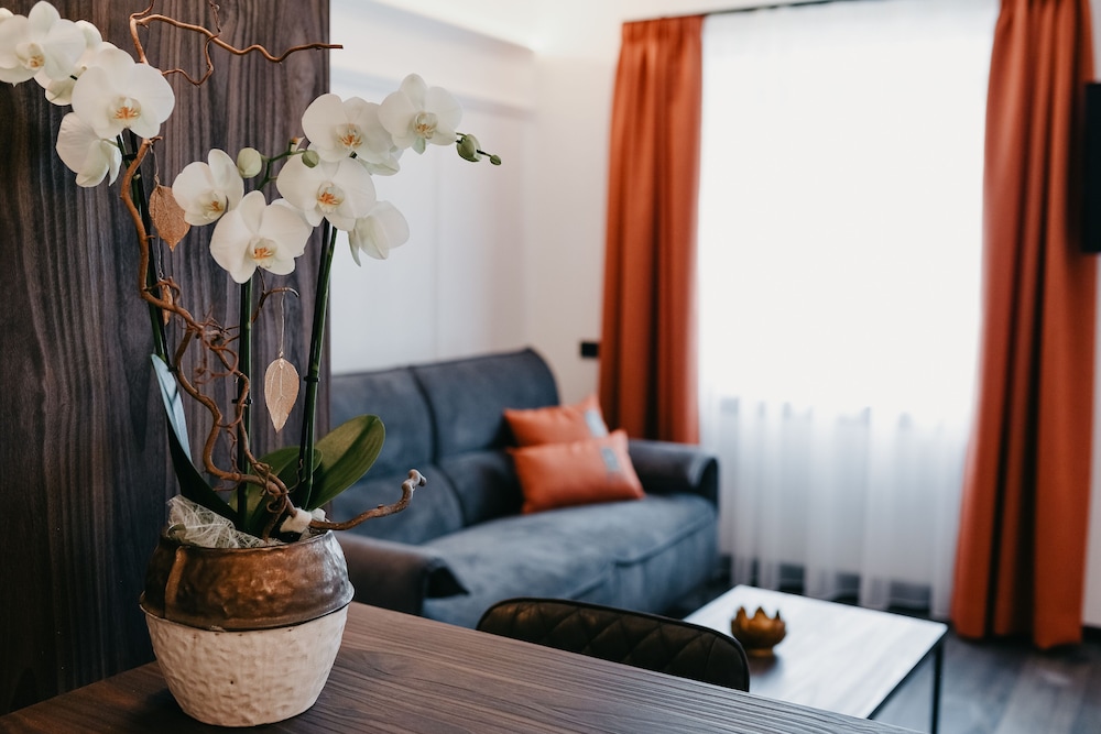 Nepomuk Suite photo 1