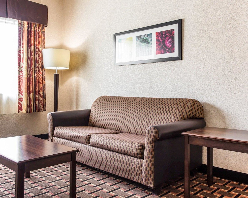 Suite, 1 King Bed with Sofa bed, Non Smoking - Photo 11
