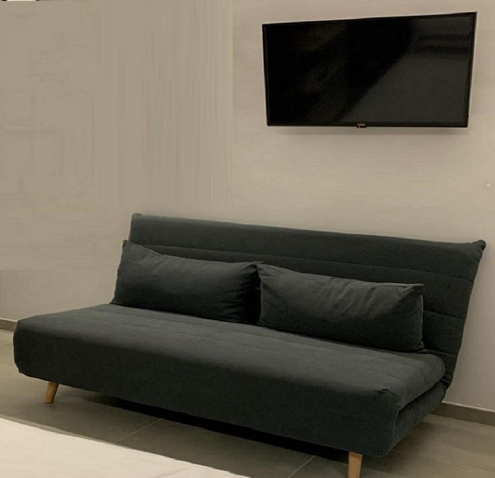 Superior Studio, 1 King Bed with Sofa bed, Garden View photo 3