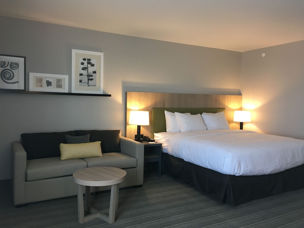 Premium Room, 1 King Bed, Non Smoking photo 1