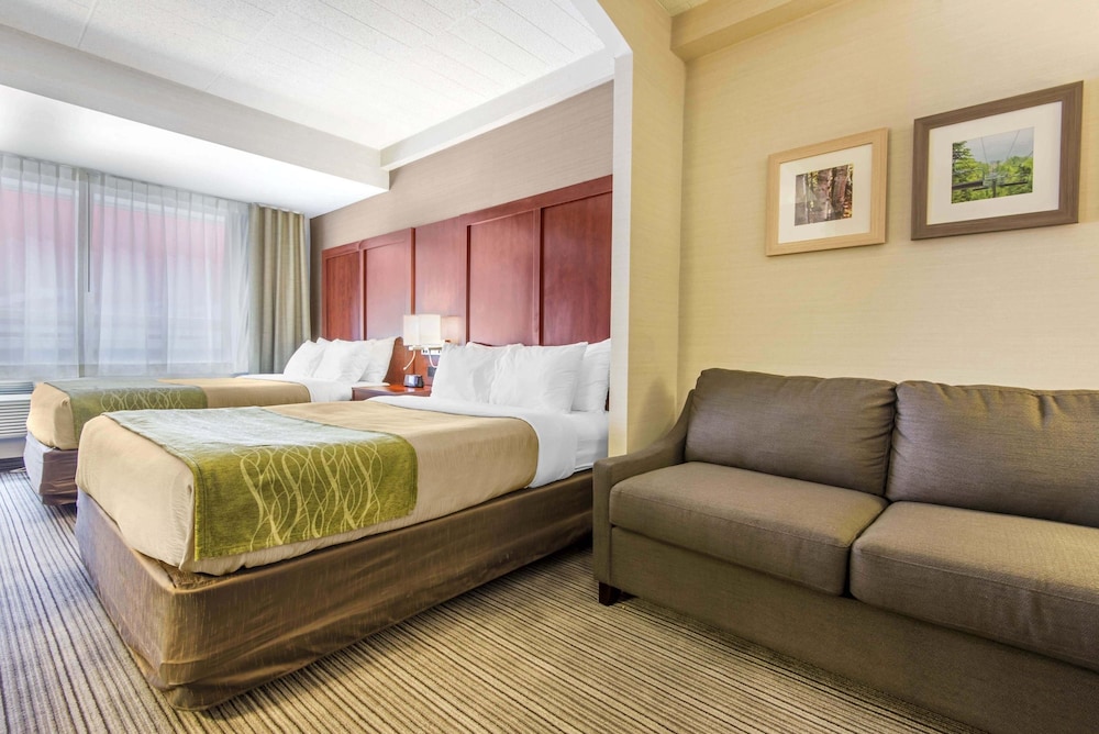 Suite (2 Queen Beds, Sofa Bed) photo 2