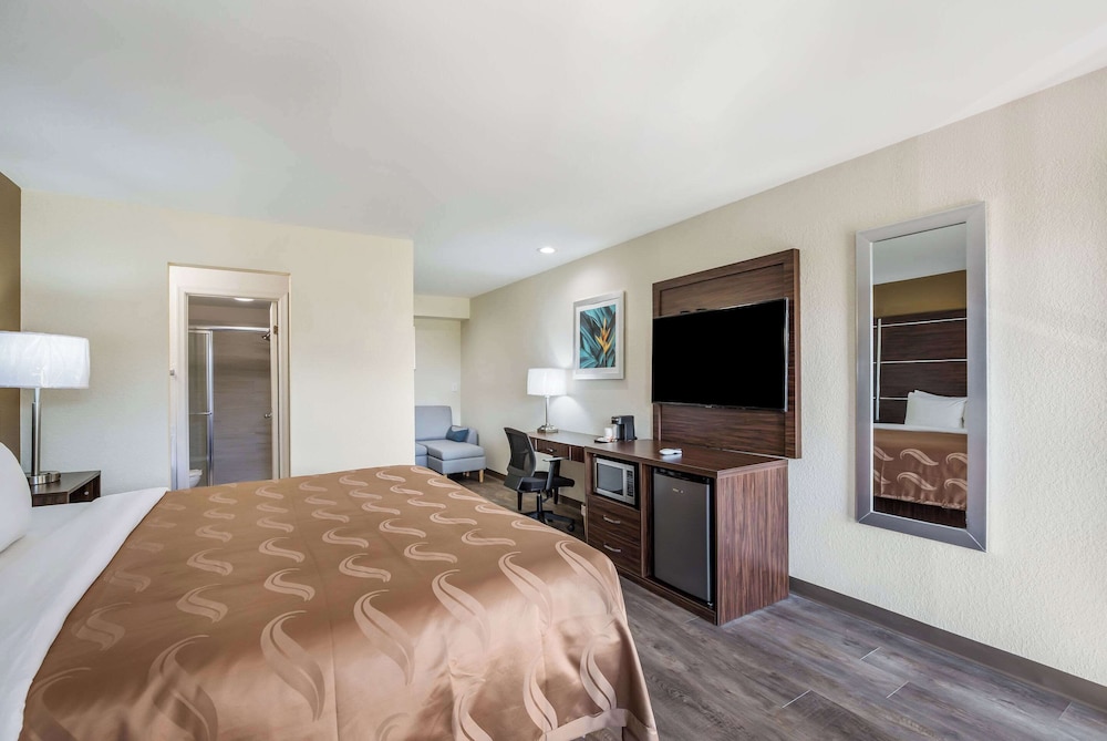 Suite, 1 King Bed with Sofa bed, Non Smoking (Efficiency, Upgrade) photo 2