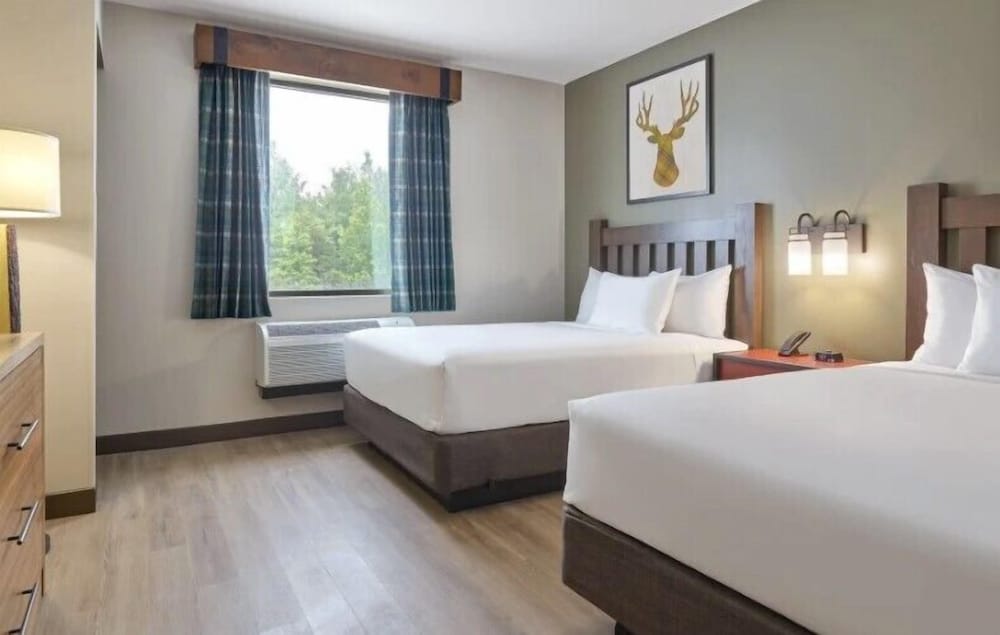 Premium Suite (Grizzly Bear)