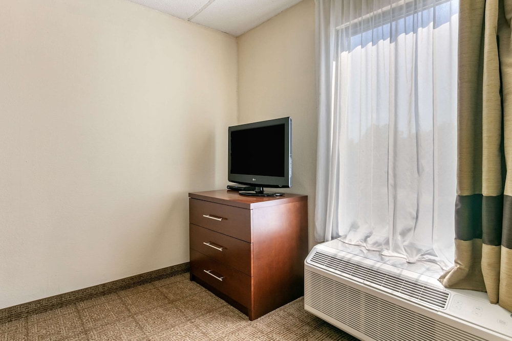 Suite, Multiple Beds, Non Smoking - Photo 3