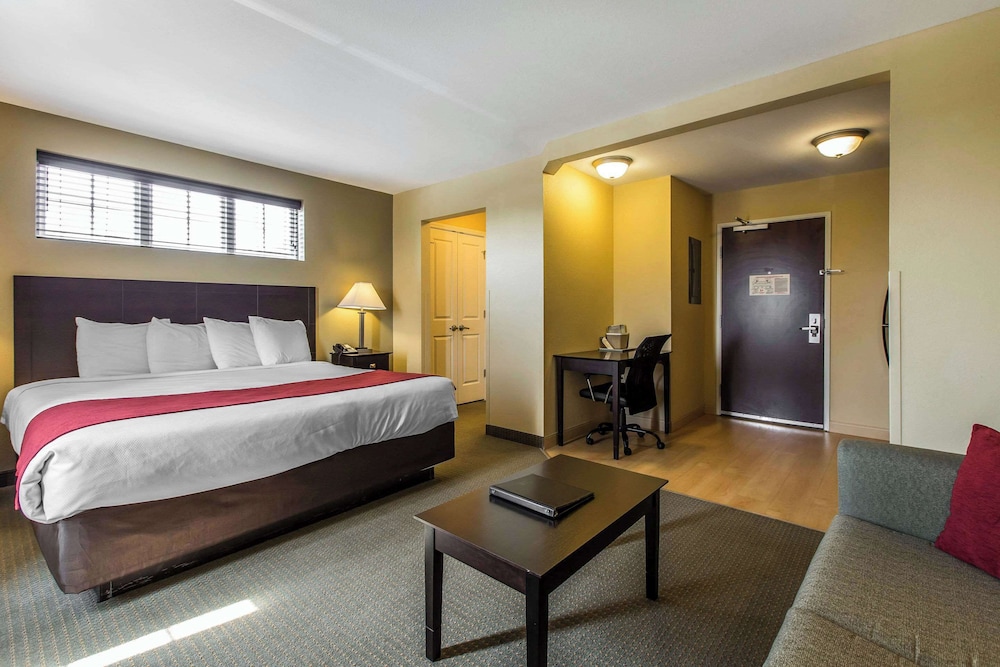 Suite, 1 King Bed with Sofa bed
