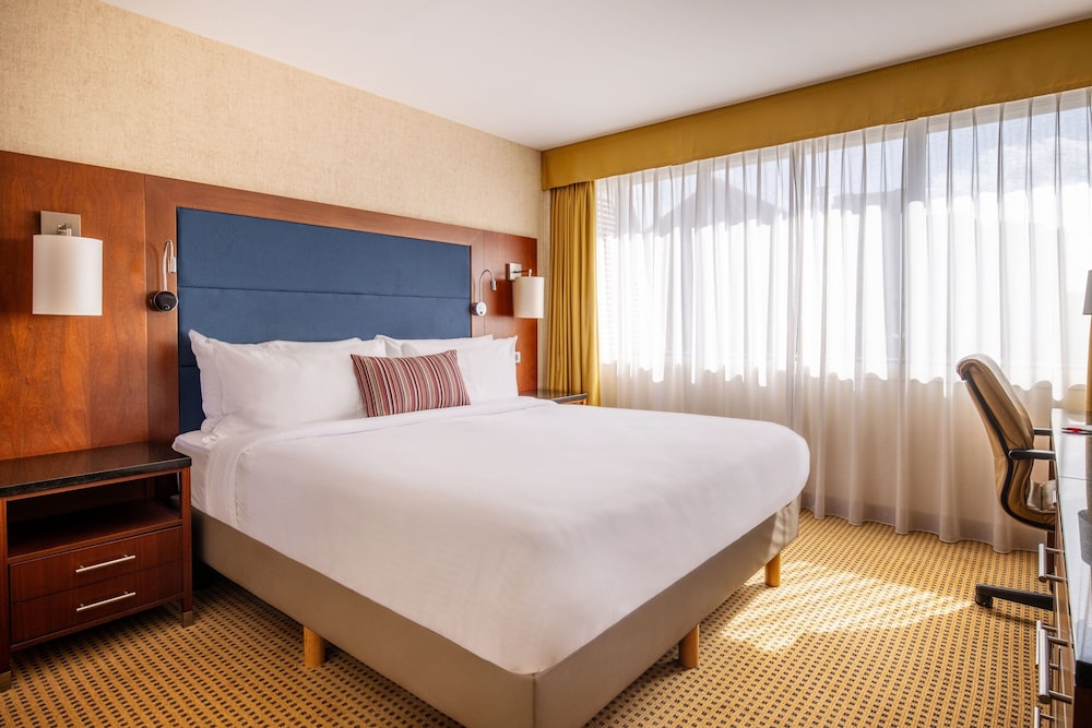 Executive Room, 1 King Bed photo 1
