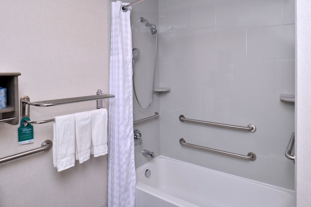 Studio, 1 King Bed, Accessible, Bathtub