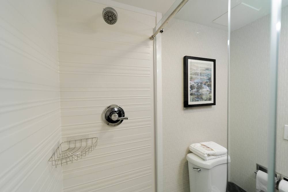 Room, 1 Queen Bed, Accessible, Non Smoking (Mobility Accessible w/ Roll in Shower) - Photo 7